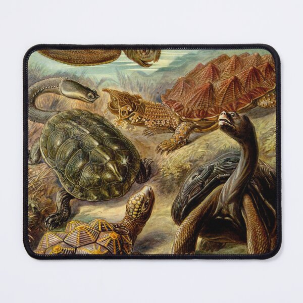 Item preview, Turtles by Ernst Haeckel designed and sold by RickE.