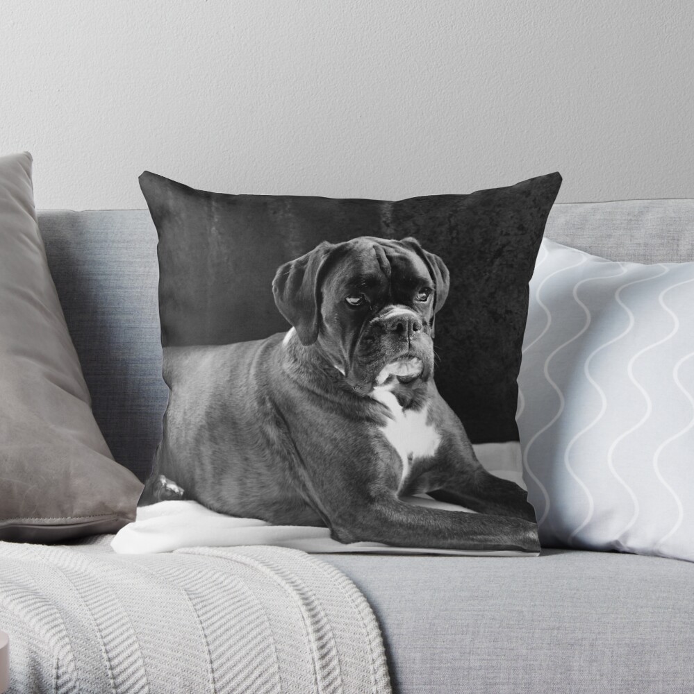 Boxer store dog cushion