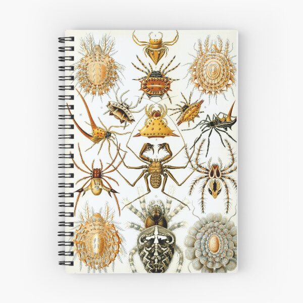 Item preview, Arachnida by Ernst Haeckel designed and sold by RickE.