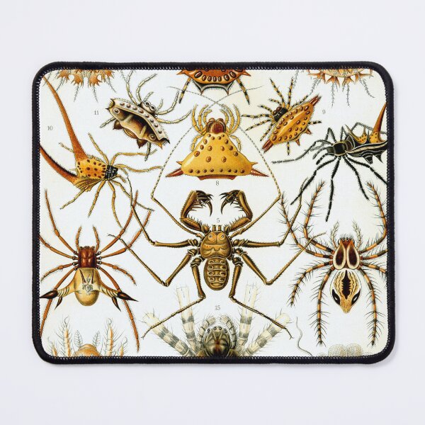 Item preview, Arachnida by Ernst Haeckel designed and sold by RickE.