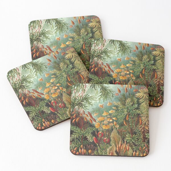 Item preview, Muscinae by Ernst Haeckel designed and sold by RickE.