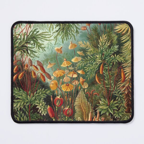 Item preview, Muscinae by Ernst Haeckel designed and sold by RickE.