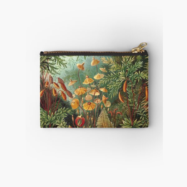 Item preview, Muscinae by Ernst Haeckel designed and sold by RickE.