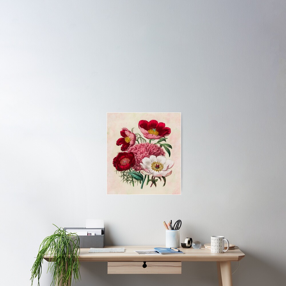 Flower garden Poster