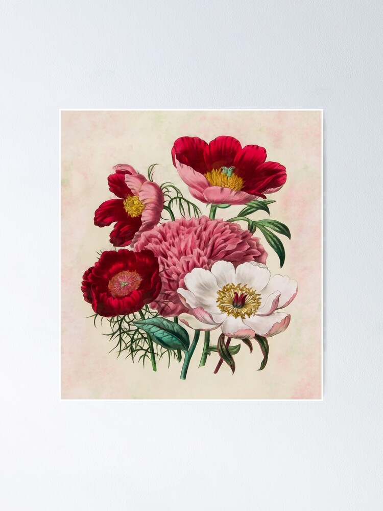 Alternate view of Flower garden Poster