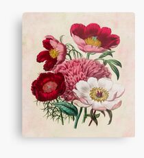 Flower garden Metal Print