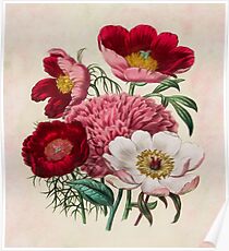 Flower garden Poster