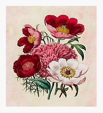 Flower garden Photographic Print