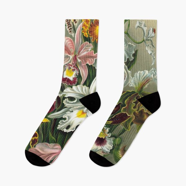 Item preview, Orchidae by Ernst Haeckel designed and sold by RickE.