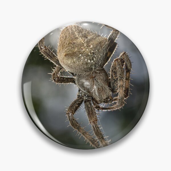 Item preview, Big Orb-weaver Spider designed and sold by Christopher Stephenson.