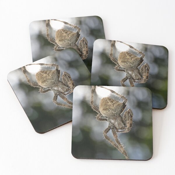 Item preview, Big Orb-weaver Spider designed and sold by Christopher Stephenson.