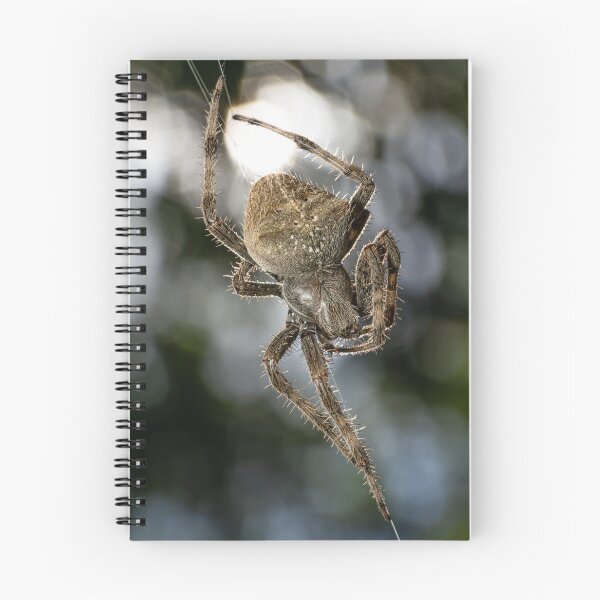 Item preview, Big Orb-weaver Spider designed and sold by Christopher Stephenson.
