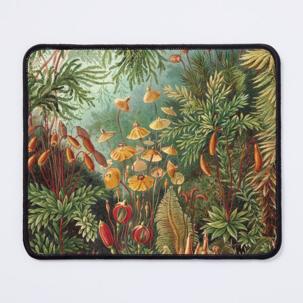 Item preview, Moss Plants by Ernst Haeckel designed and sold by RickE.