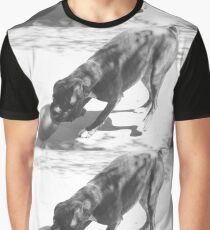 MINE !!! - Boxer Dogs Series Graphic T-Shirt