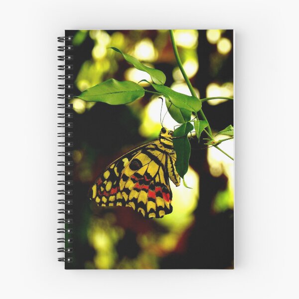 Item preview, Papilio Demoleus Butterfly designed and sold by Barnbk02.