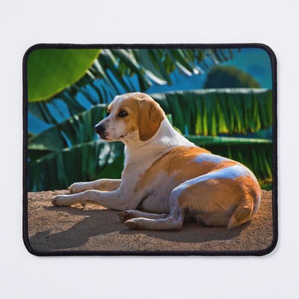 Item preview, Dog Relaxing In Tropical Fenicia designed and sold by alabca.