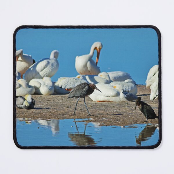 Item preview, Clearly Different designed and sold by Michiale.