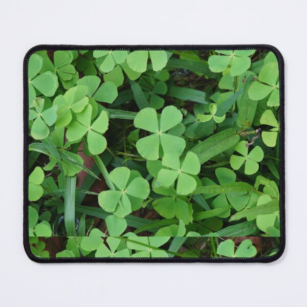 Item preview, clover leaf designed and sold by March Rider.