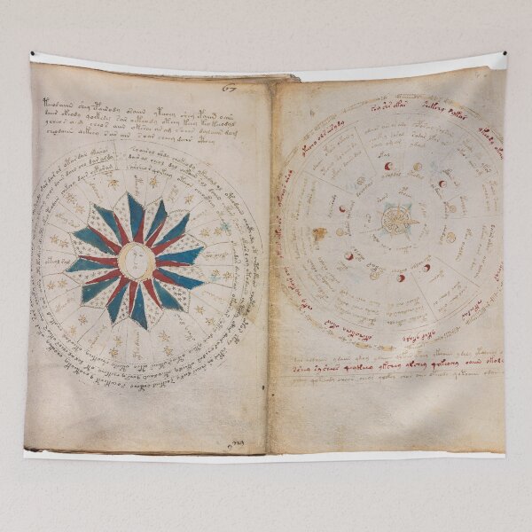 Item preview, Voynich manuscript book cover  designed and sold by TeeARTHY.