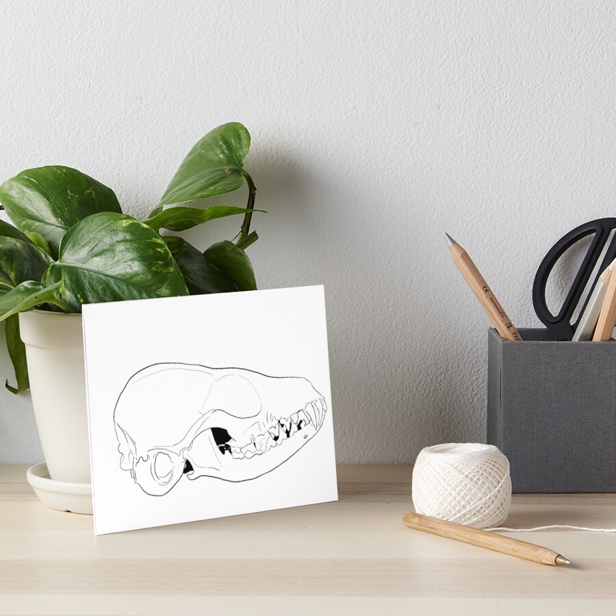 "Fennec fox skull digital line work art" Art Board Print by