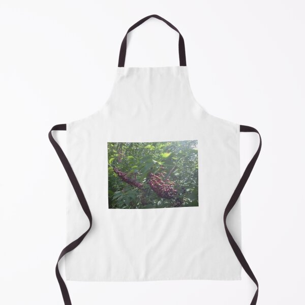Item preview, Elderberry 1 designed and sold by NimsNature.