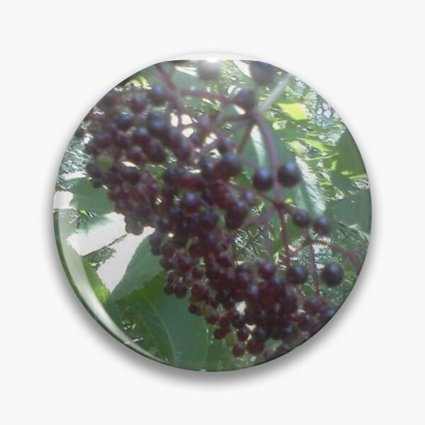 Item preview, Elderberry 3 designed and sold by NimsNature.