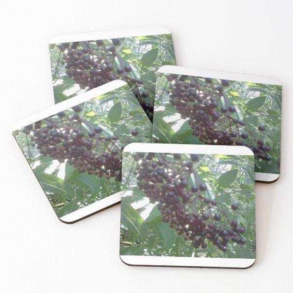 Item preview, Elderberry 3 designed and sold by NimsNature.
