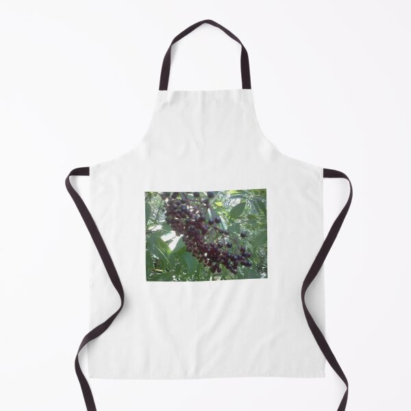 Item preview, Elderberry 3 designed and sold by NimsNature.