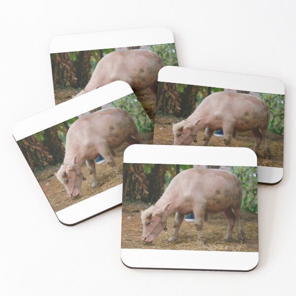 Item preview, Thai albino buffalo designed and sold by March Rider.