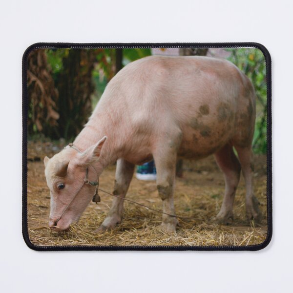 Item preview, Thai albino buffalo designed and sold by March Rider.