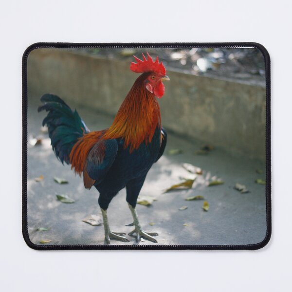 Item preview, Thai fighting cock designed and sold by March Rider.