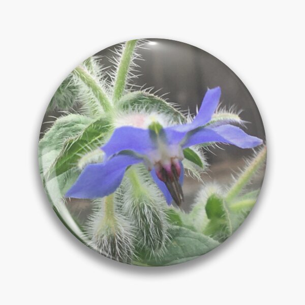 Item preview, Borage 1 designed and sold by NimsNature.