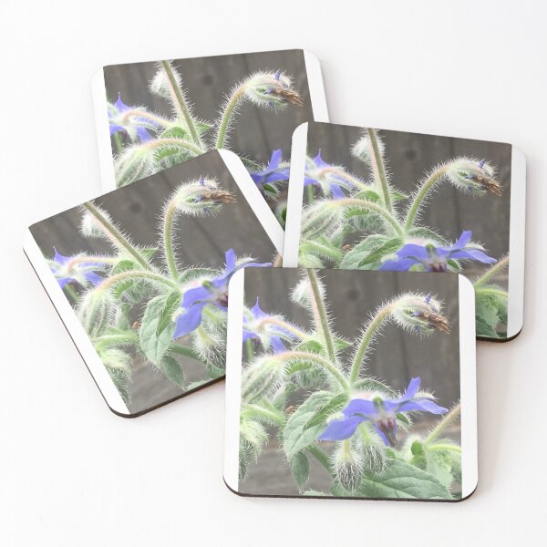 Item preview, Borage 1 designed and sold by NimsNature.
