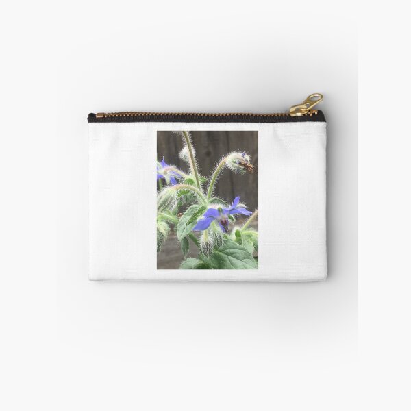 Item preview, Borage 1 designed and sold by NimsNature.