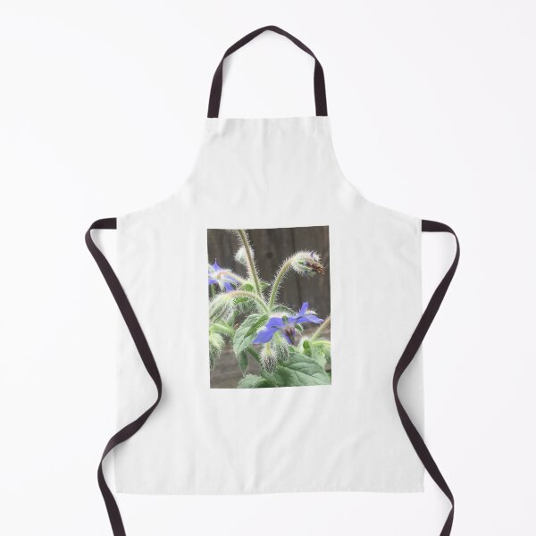 Item preview, Borage 1 designed and sold by NimsNature.