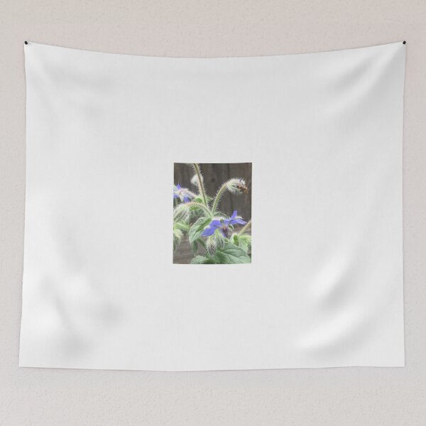 Item preview, Borage 1 designed and sold by NimsNature.