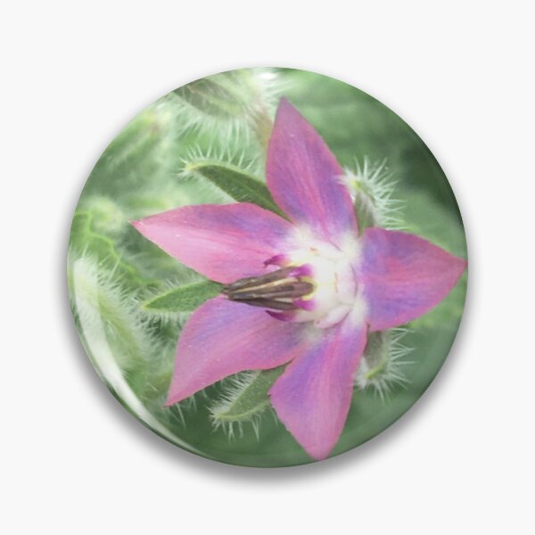 Item preview, Borage 2 designed and sold by NimsNature.