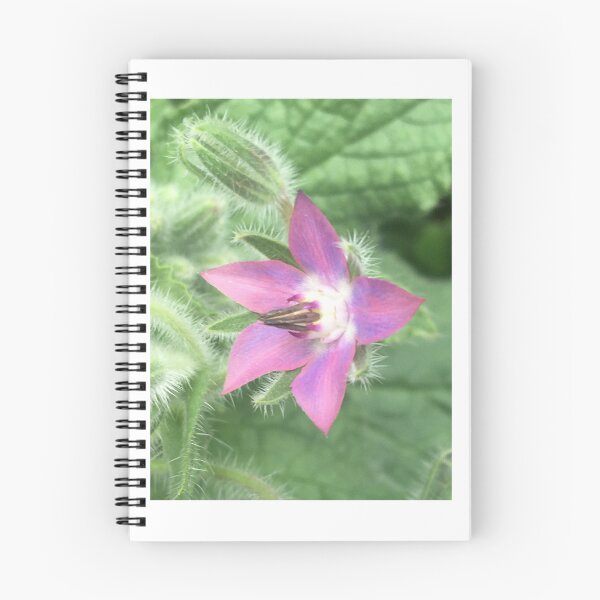 Item preview, Borage 2 designed and sold by NimsNature.