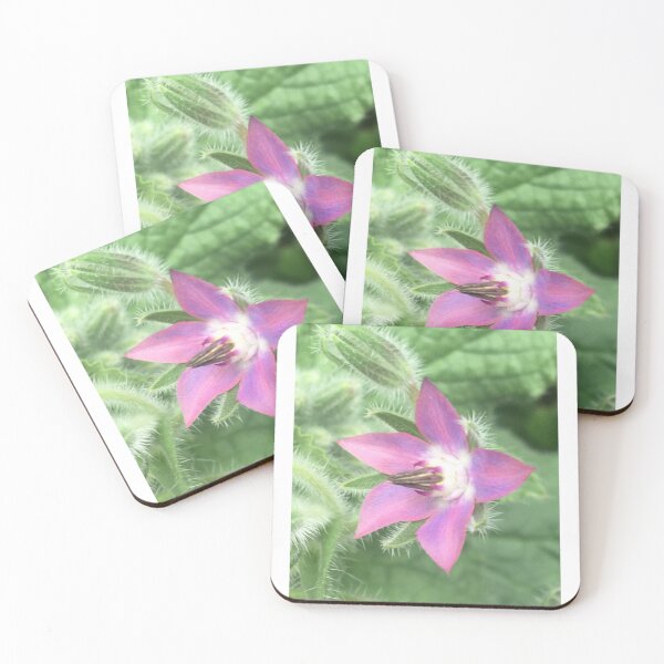 Item preview, Borage 2 designed and sold by NimsNature.