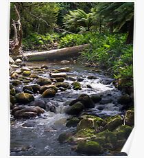 ~ Groom River ~ Poster