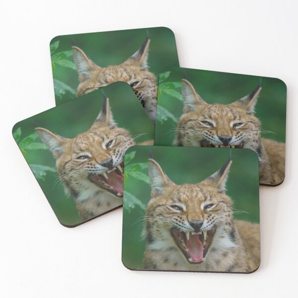 Item preview, Lynx Showing His Teeth designed and sold by rawshutterbug.