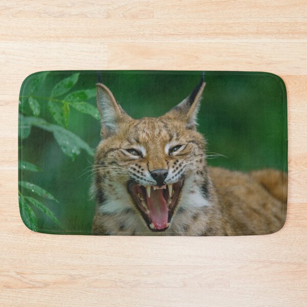 Item preview, Lynx Showing His Teeth designed and sold by rawshutterbug.