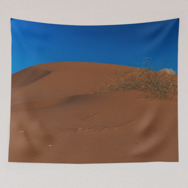 Item preview.