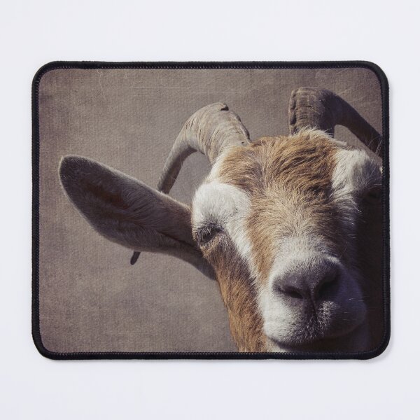 Item preview, Well hello there - goat portrait designed and sold by WesternExposure.