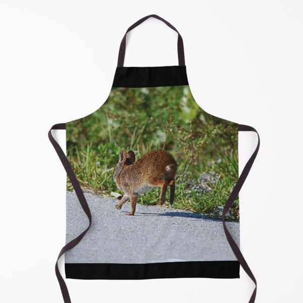 Item preview, Bouncing Bunny designed and sold by Michiale.