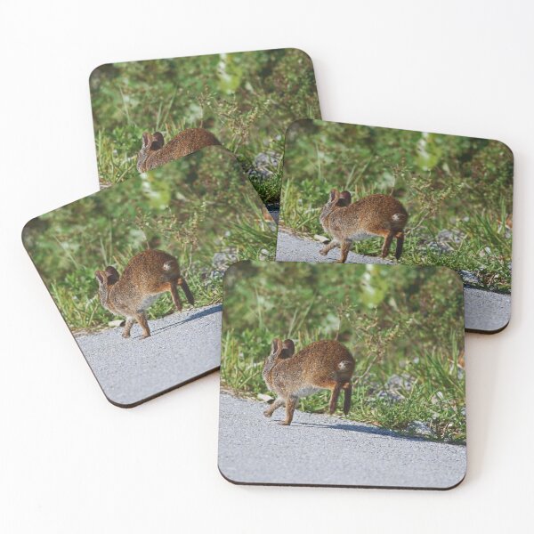 Item preview, Bouncing Bunny designed and sold by Michiale.