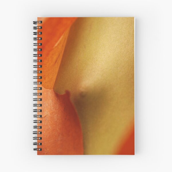 Item preview, Madrona (Arbutus) reveals itself designed and sold by mark alan perry.