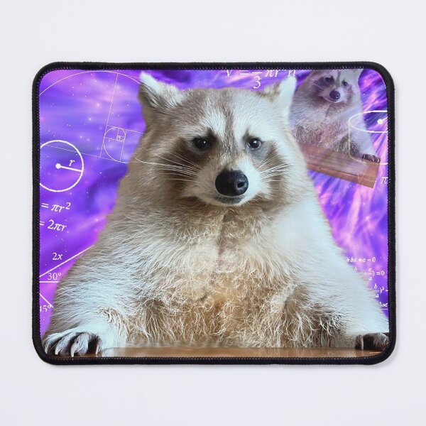 Item preview, Racoon Memes: I heard what you said I simply chose not to listen designed and sold by Greg Heffley.