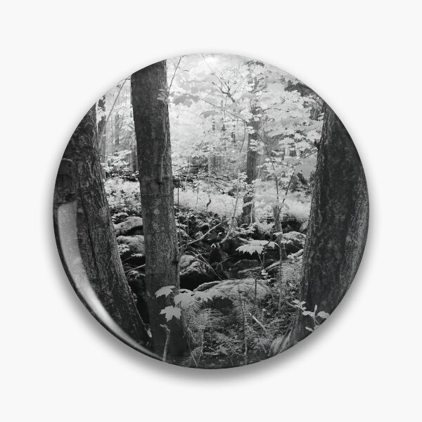 Item preview, Secred forest. Infrared bw photography designed and sold by Jouko Lehto Photography.