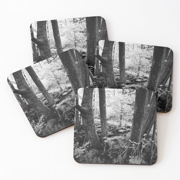 Item preview, Secred forest. Infrared bw photography designed and sold by Jouko Lehto Photography.